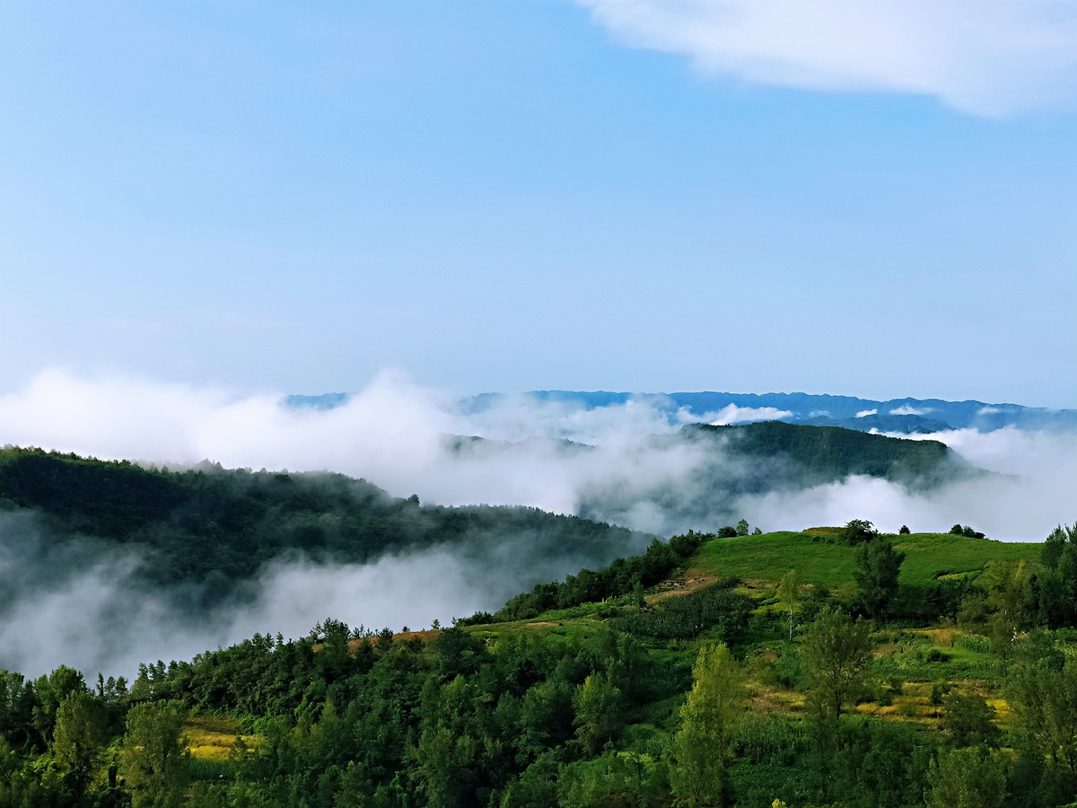 上通下达万源市数字草坝打通服务群众最后一公里