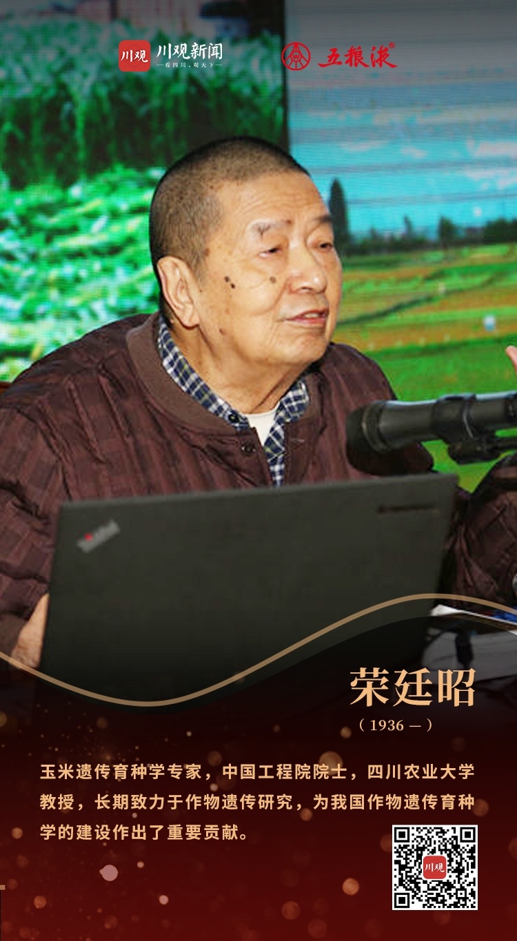 荣廷昭中国人饭碗里的粮要有属于自己的好品种