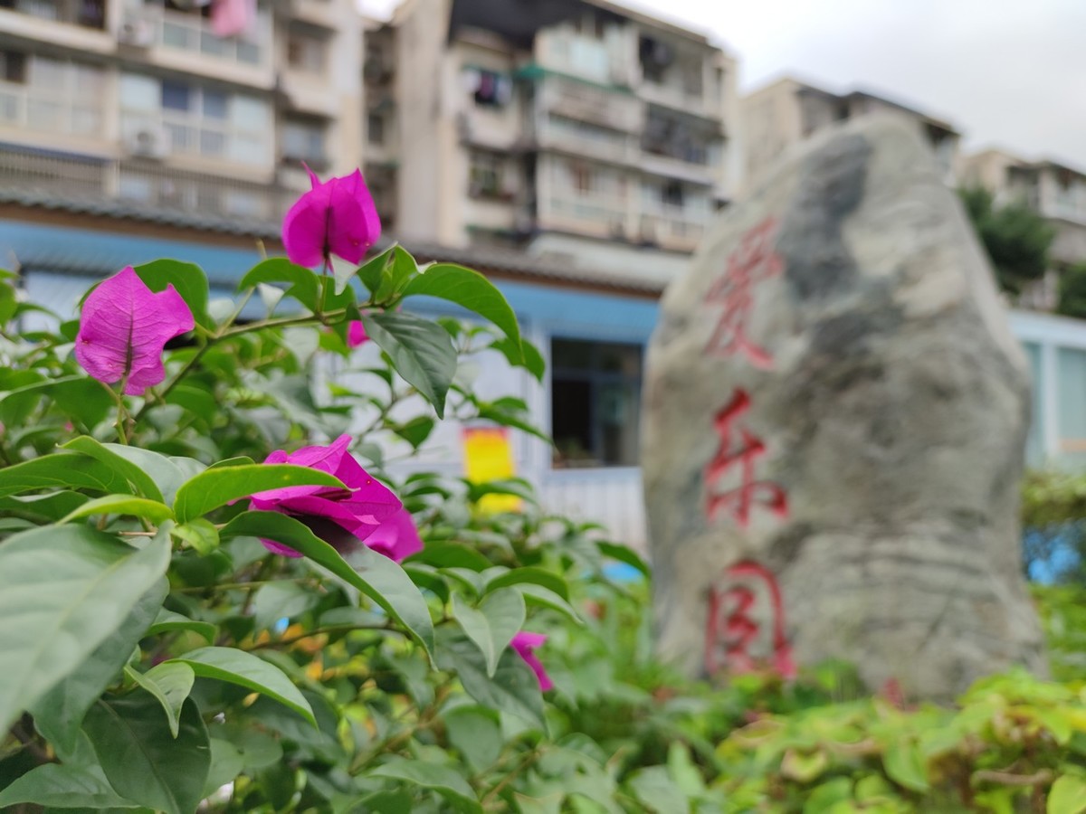 6000平米花园共建共享共治爱乐花园获评 优秀社区花园 竞彩足球比分 在线 竞彩足球比分