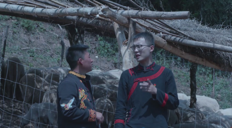 中国模范 四川骄傲⑦丨李凯:扎根彝区,为大凉山脱贫奔走忙碌 - 川观