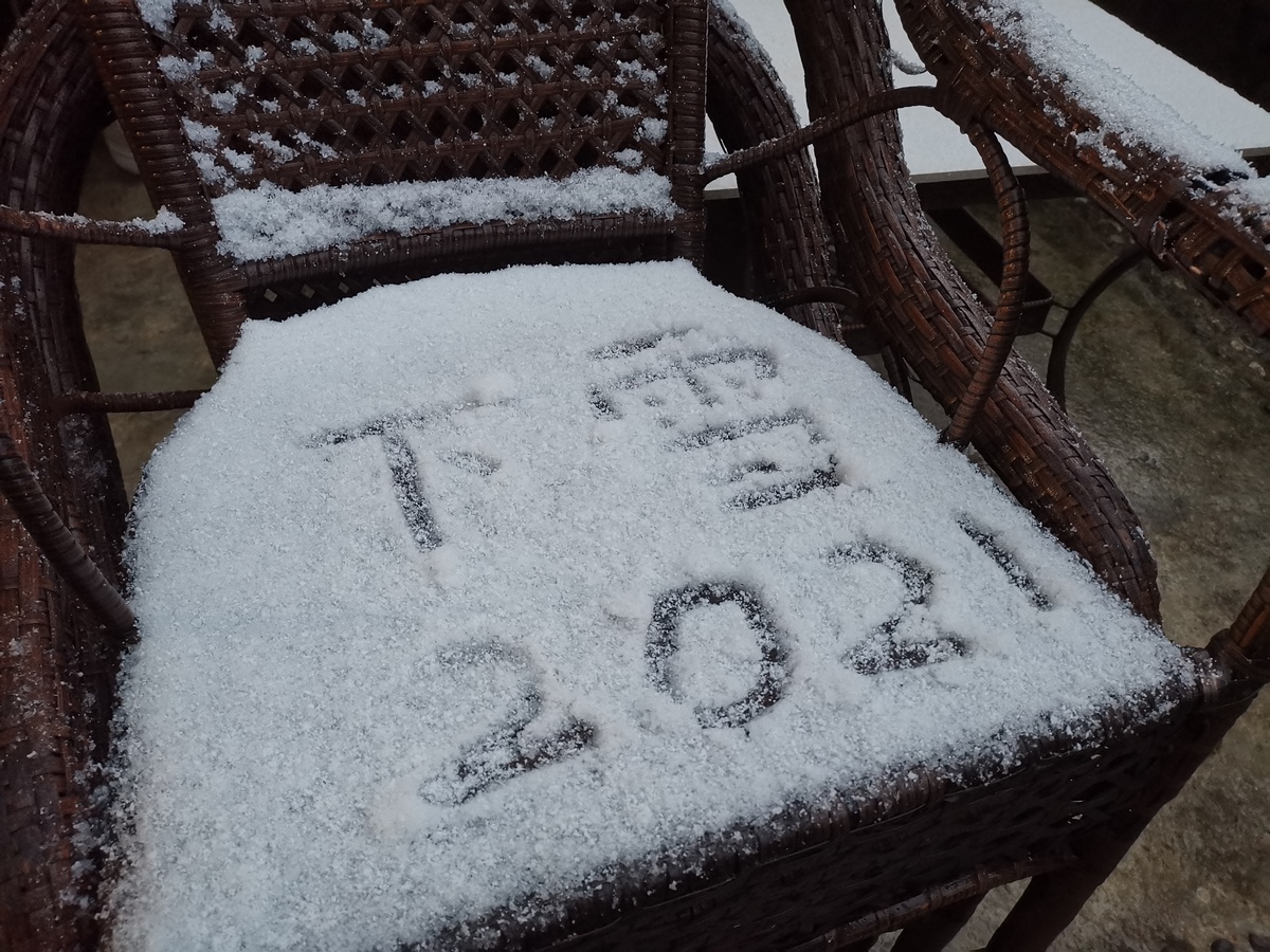 成都多地开始下雪，能看见雪花的那种！