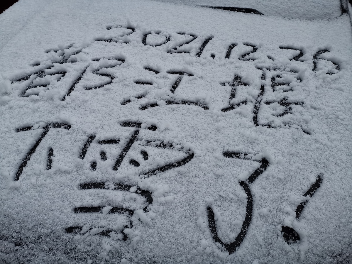 成都多地开始下雪，能看见雪花的那种！