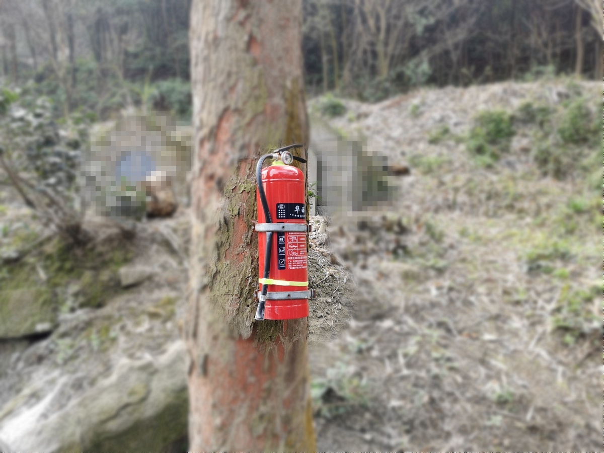 宜宾370支灭火器上树这是咋回事