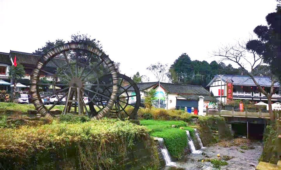 3月16日,还没到晌午,绵竹市九龙镇棚花村的"祥泉苑",前来就餐的顾客