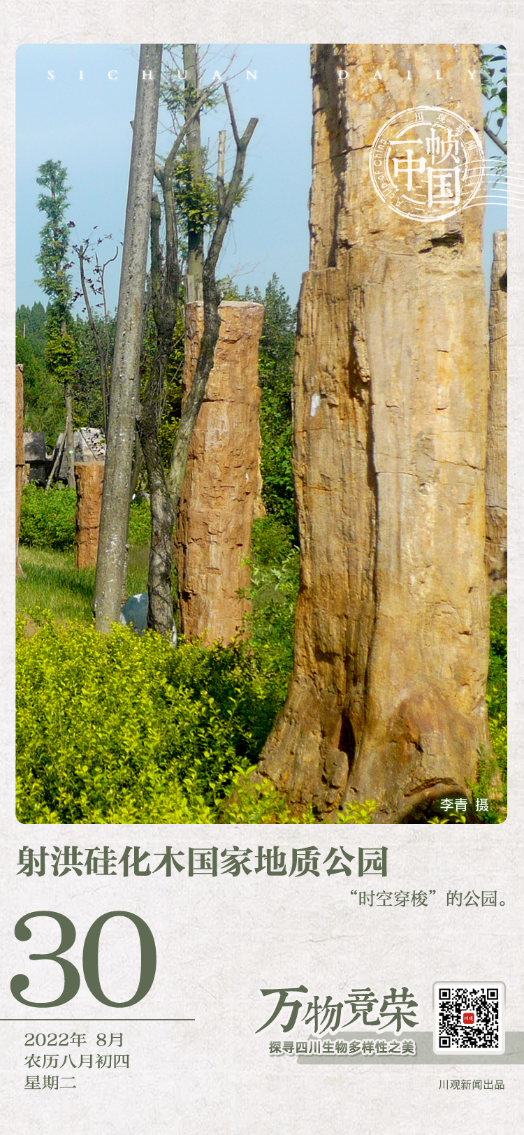 天府自然历 时空穿梭 的公园 8月30日 川观新闻