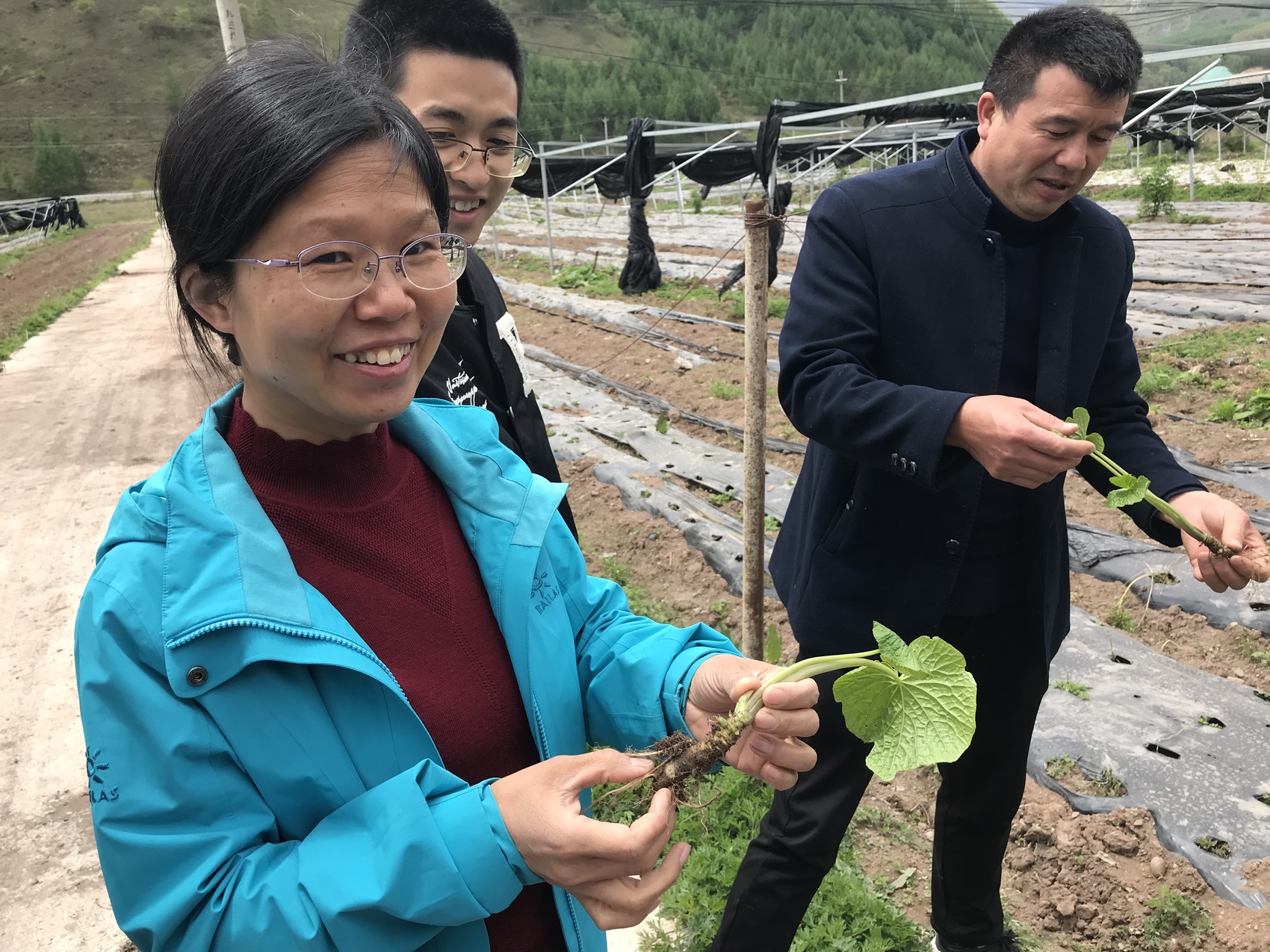 4月26日,在雷波縣黃琅鎮荊竹村雷波縣黃琅湖濱蓴菜廠的120畝蓴菜基地