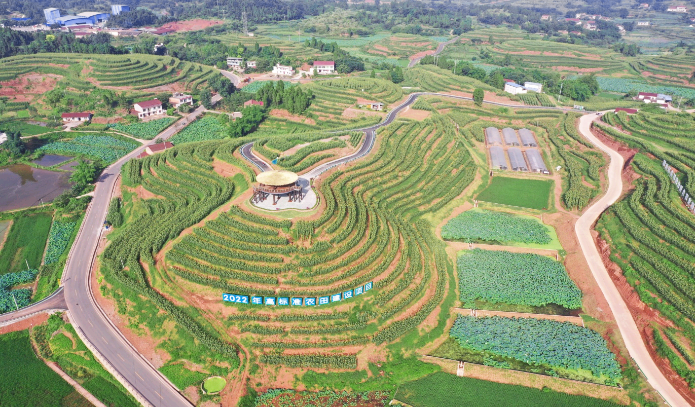 翠屏区农业农村局供图生产 加工 服务着力全链融合升值在翠屏区白花镇