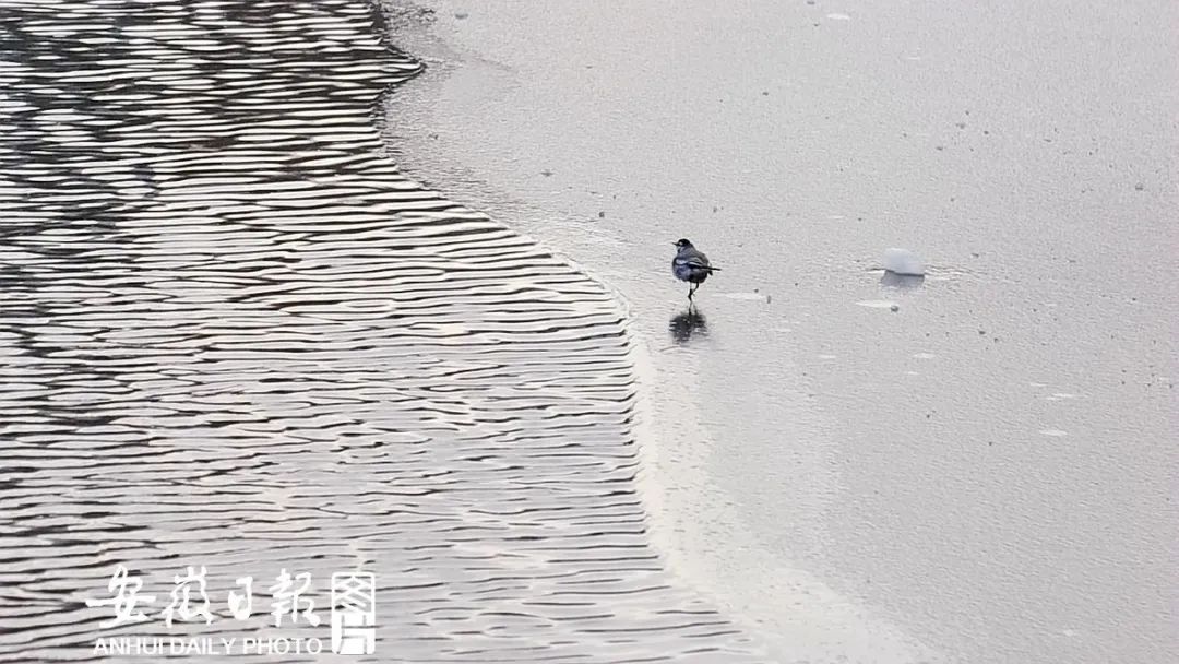 Fh5VbVPvbH6aeY9erOmzVXA9VlZ4