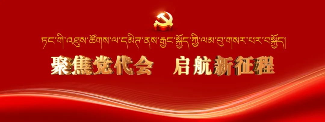 聚焦党代会启航新征程中国共产党新龙县第十三次代表大会召开预备会