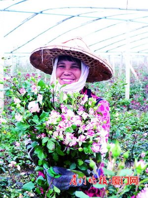 今年花量少价格一路走高市场火爆有的订单已排到3月10日 川观新闻