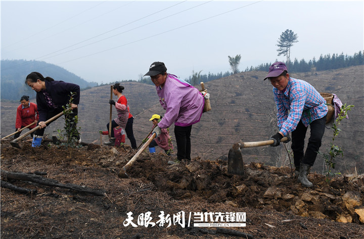 台江革一人口_台江县革一镇:颁发纪念章礼赞老党员