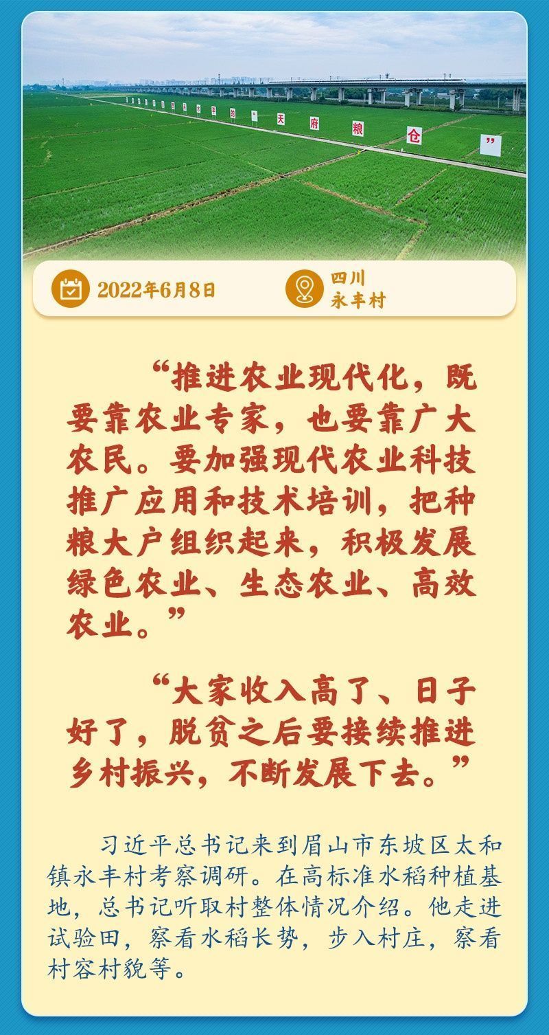 学习新语丨总书记引领推动乡村振兴迈出坚实步伐|川观新闻