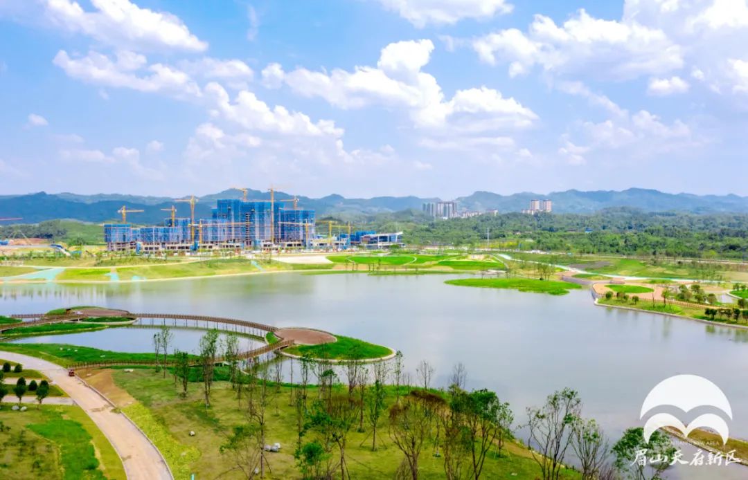 组cp,谋发展,共进步! - 川观新闻