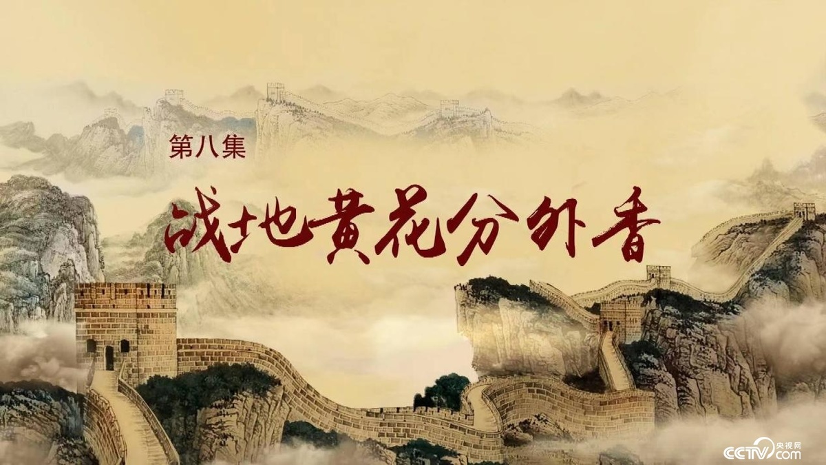 《历史关头——红色纪念馆之旅》 第八集:战地黄花分外香 - 川观新闻