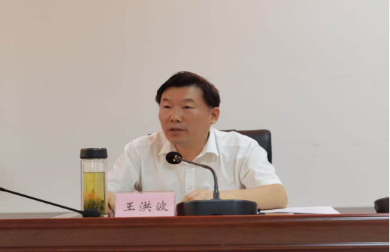 王洪波局长部署固定污染源自动监测监控体系建设试点工作
