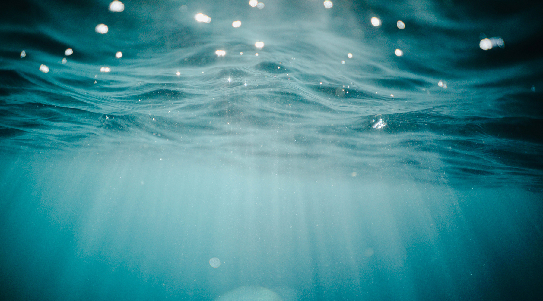 光在不同介质中的速度不同,在介质中有