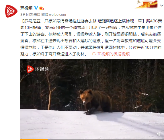 棕熊简谱_棕熊图片卡通(2)