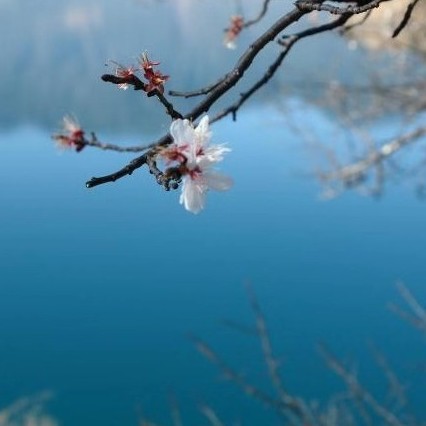 市經(jīng)信局～卿泉