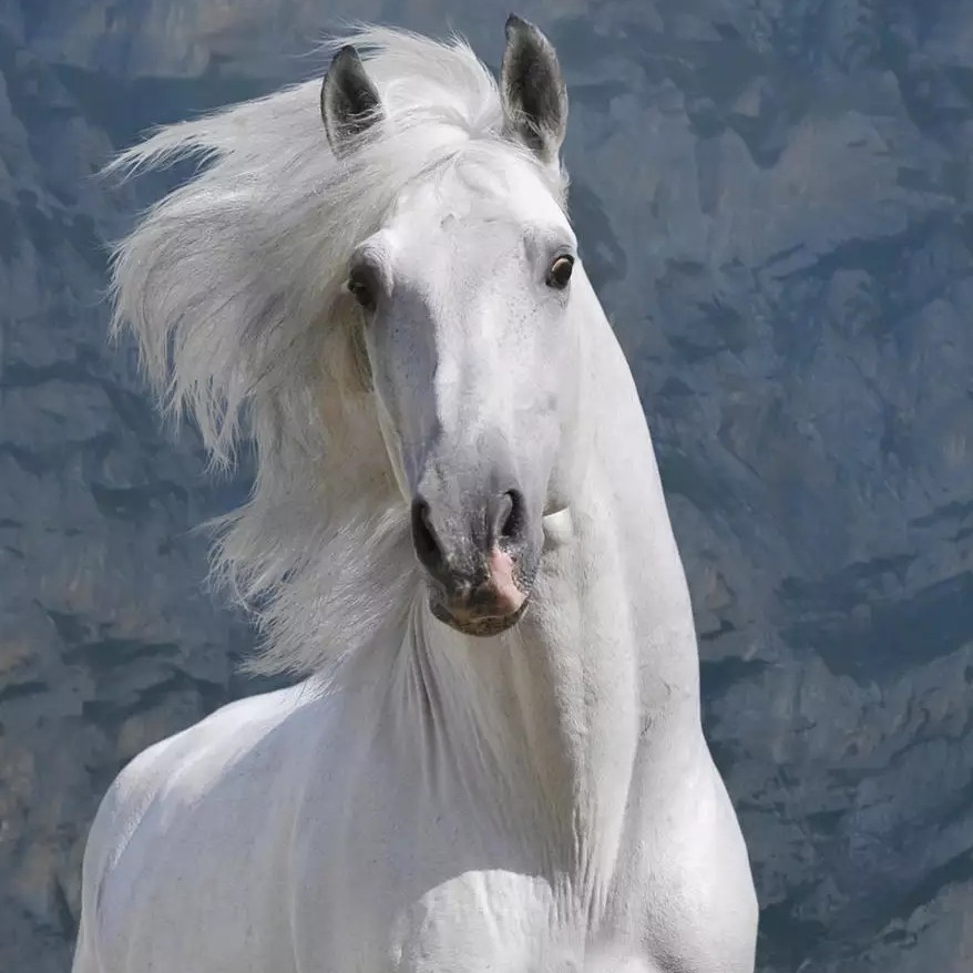 甘孜州巴塘县团结小学