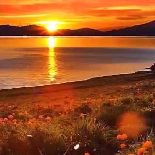 涪陵车务段张军