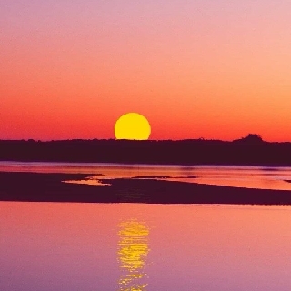 黄豆芽绿豆芽豆芽