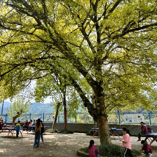 达川教科（王伦）