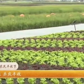 刘小丽体育中心、：