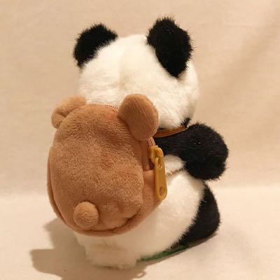 愛睡覺的小懶貓