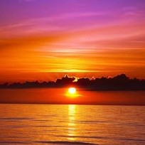 ꧁༺沙漠夔༻꧂