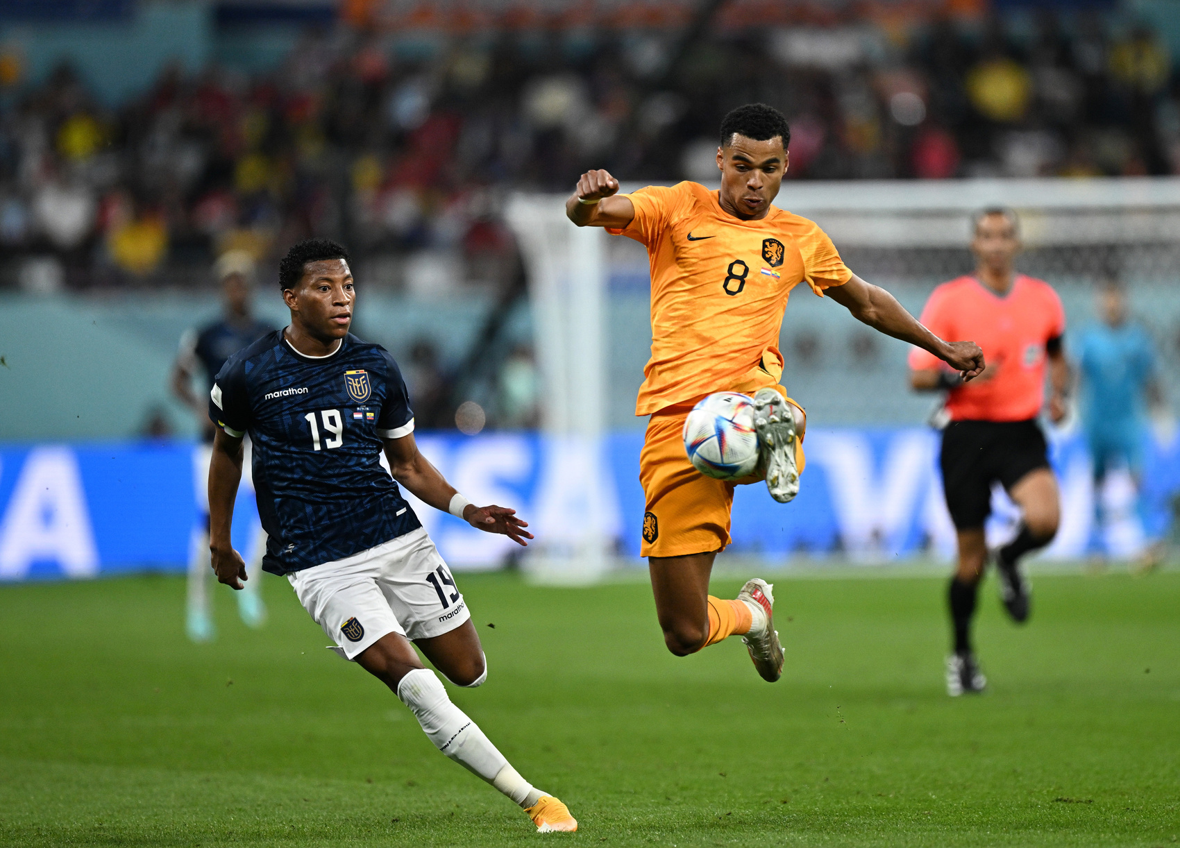 卡塔尔世界杯丨锋线"平民化"的荷兰能走多远? - 川观新闻