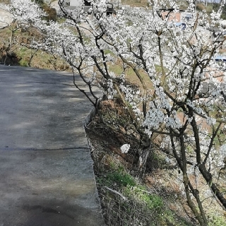 无愧我心671116