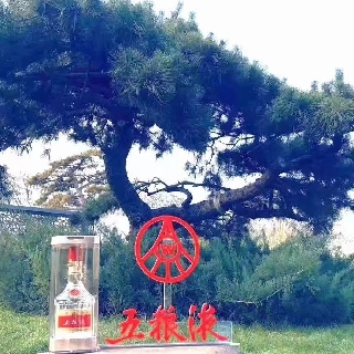 周朝彬