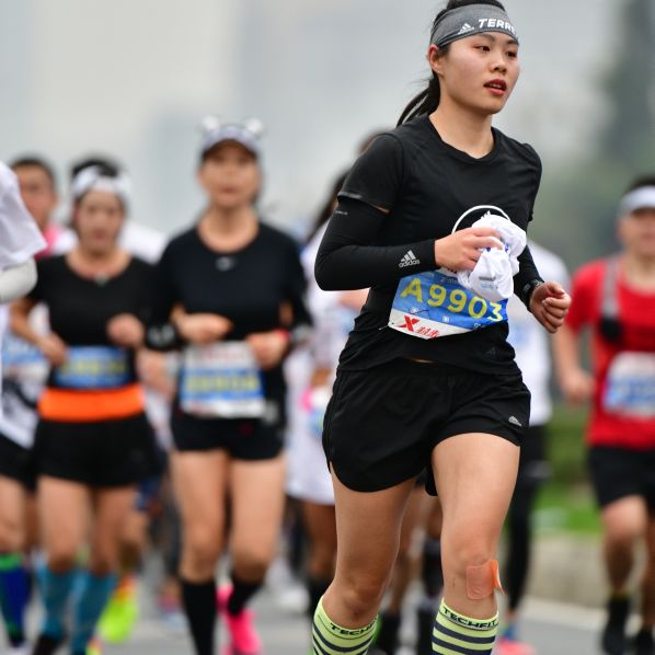 🐷一只特立独行的猪🐷