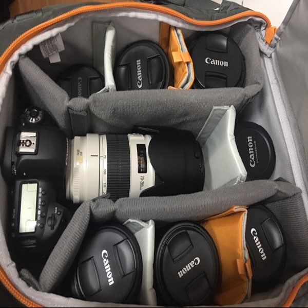 撸起袖子加油干1362