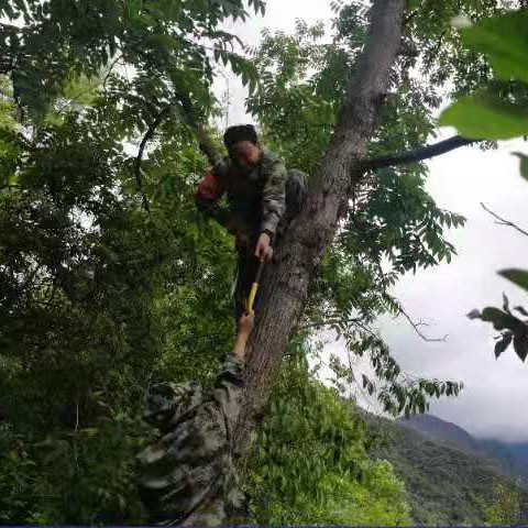 陶启鲧(冕宁培训中心