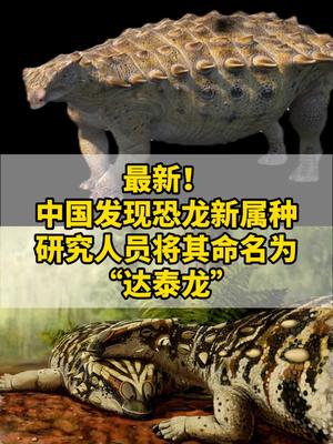 中国发现恐龙新属种命名为达泰龙