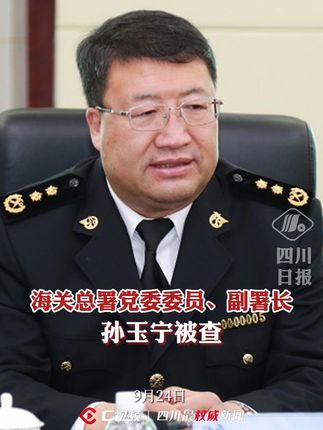 c视频丨海关总署党委委员,副署长孙玉宁被查