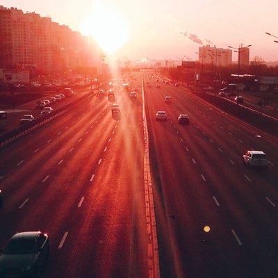 带护目镜的猴子