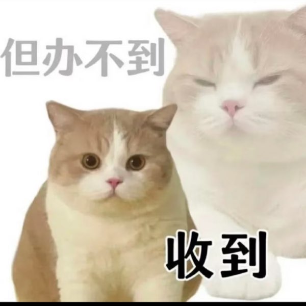 巴啦啦小魔仙的吗