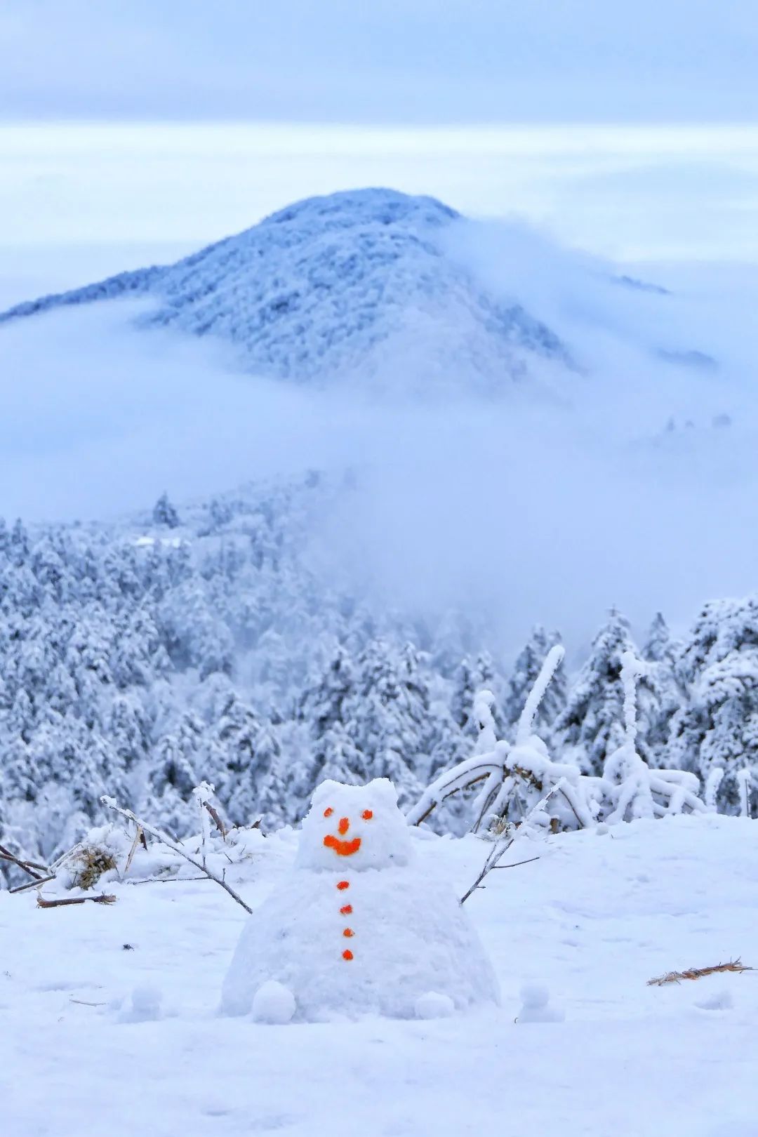 大雪纷飞过新年峨眉山迎来新春最强降雪