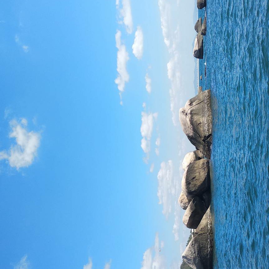 川觀網(wǎng)友531811