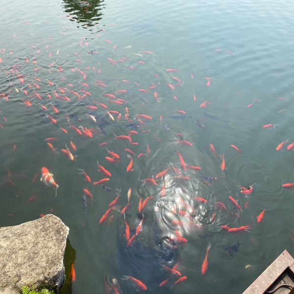 广元市人社局何云华