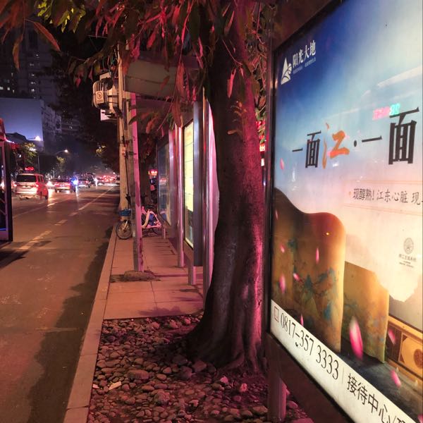 我愛你中華