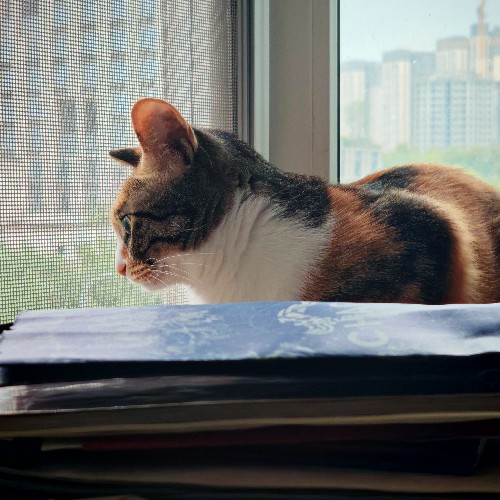 桂味力雞