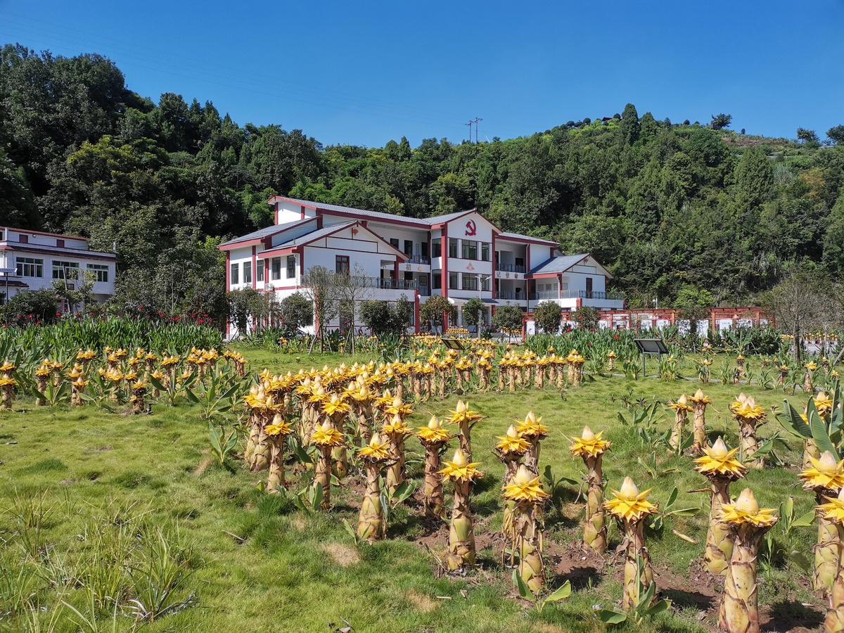 脱贫攻坚奋进力量遂宁市蓬溪县拱市联村党委书记蒋乙嘉让乡亲们过上城