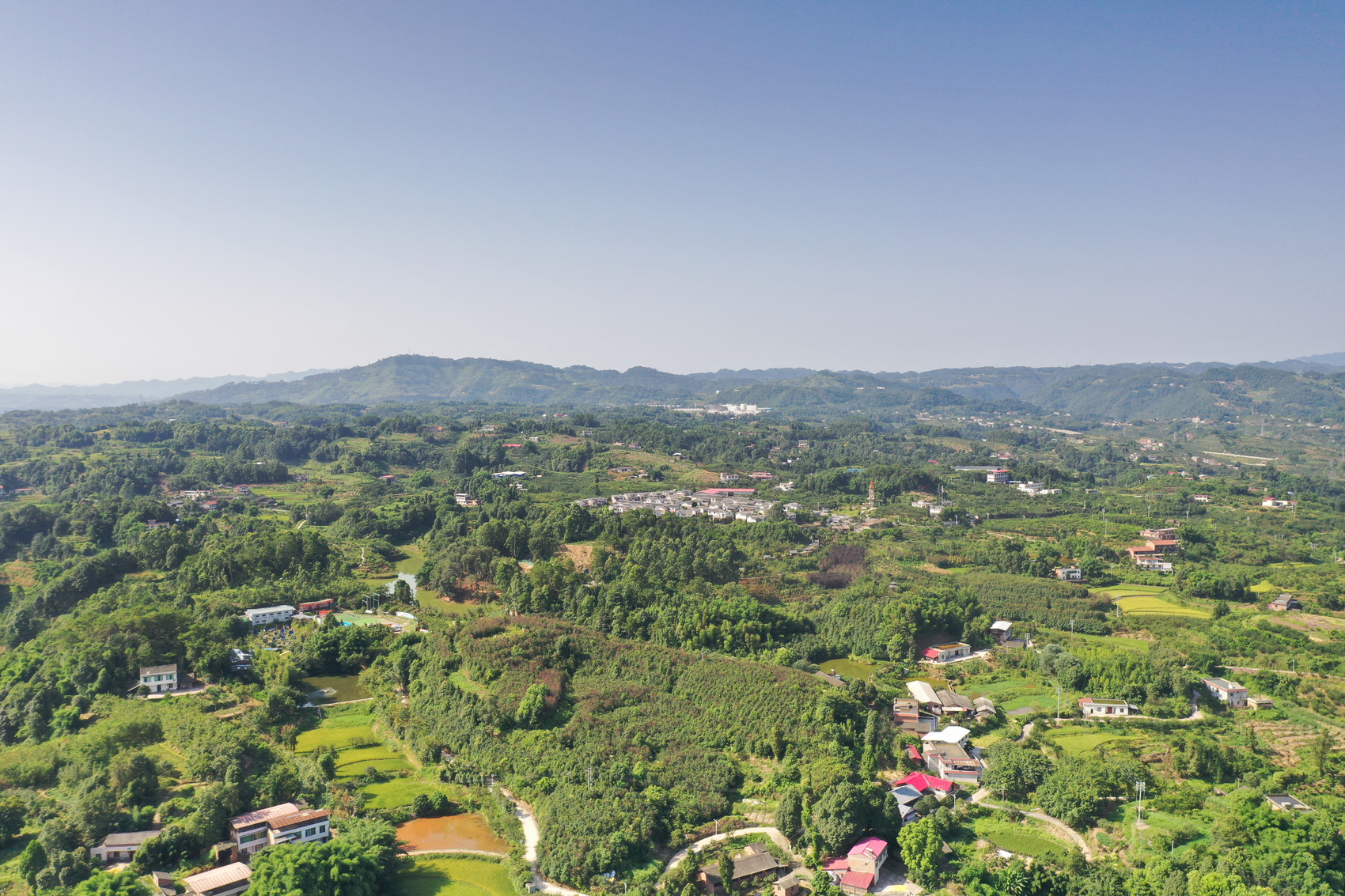 在希望的田野上71|宜宾叙州区喜龙村:创新村,企,民"三联三转" 建设