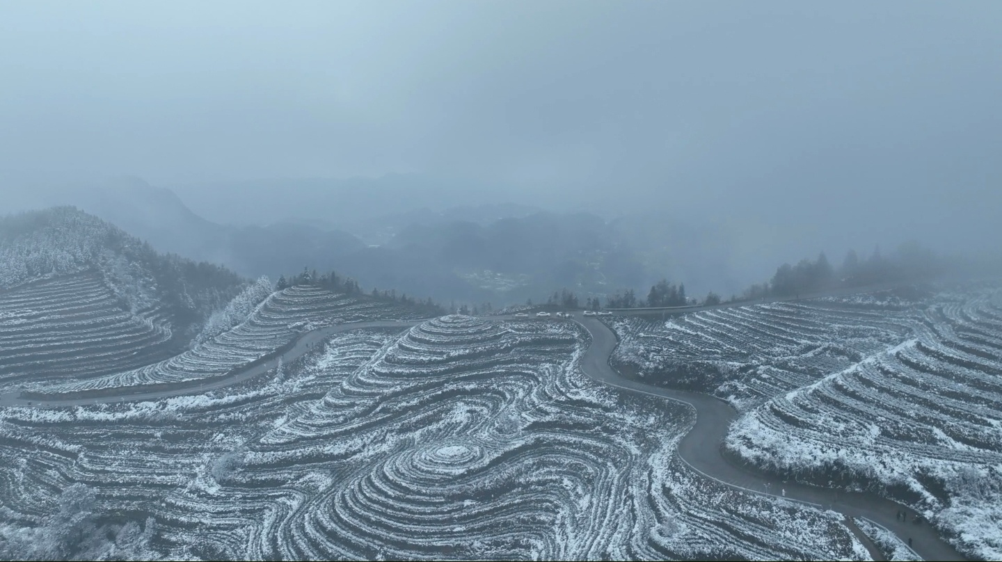 1月22日上午9时,宜宾市气象台发布天气预报,预计当天白天到夜间宜宾市