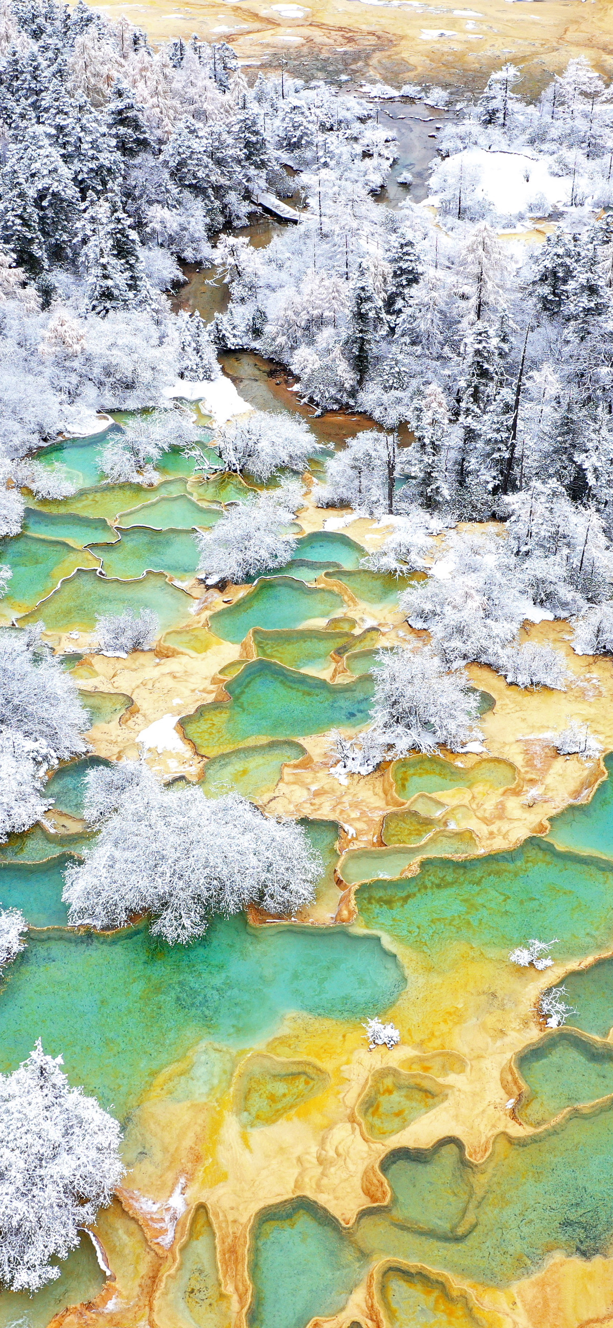 雪中黄龙景区如仙境看钙华池与白雪融合之美