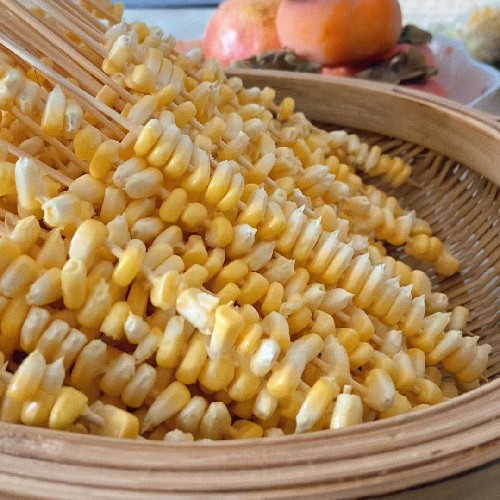 菲菲姐姐厲害