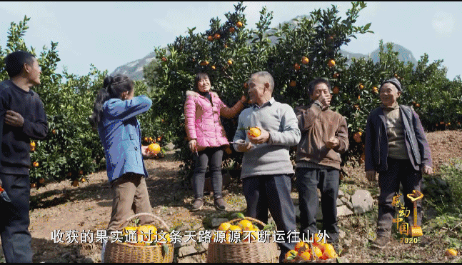 2015年下庄村在全县率先实现整村脱贫2019年下庄村人均年收入达到一万